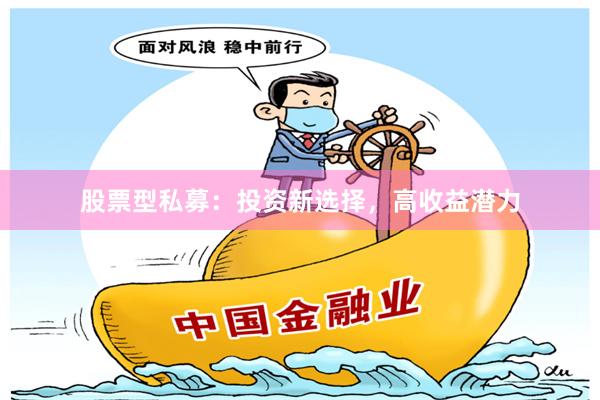 股票型私募：投资新选择，高收益潜力